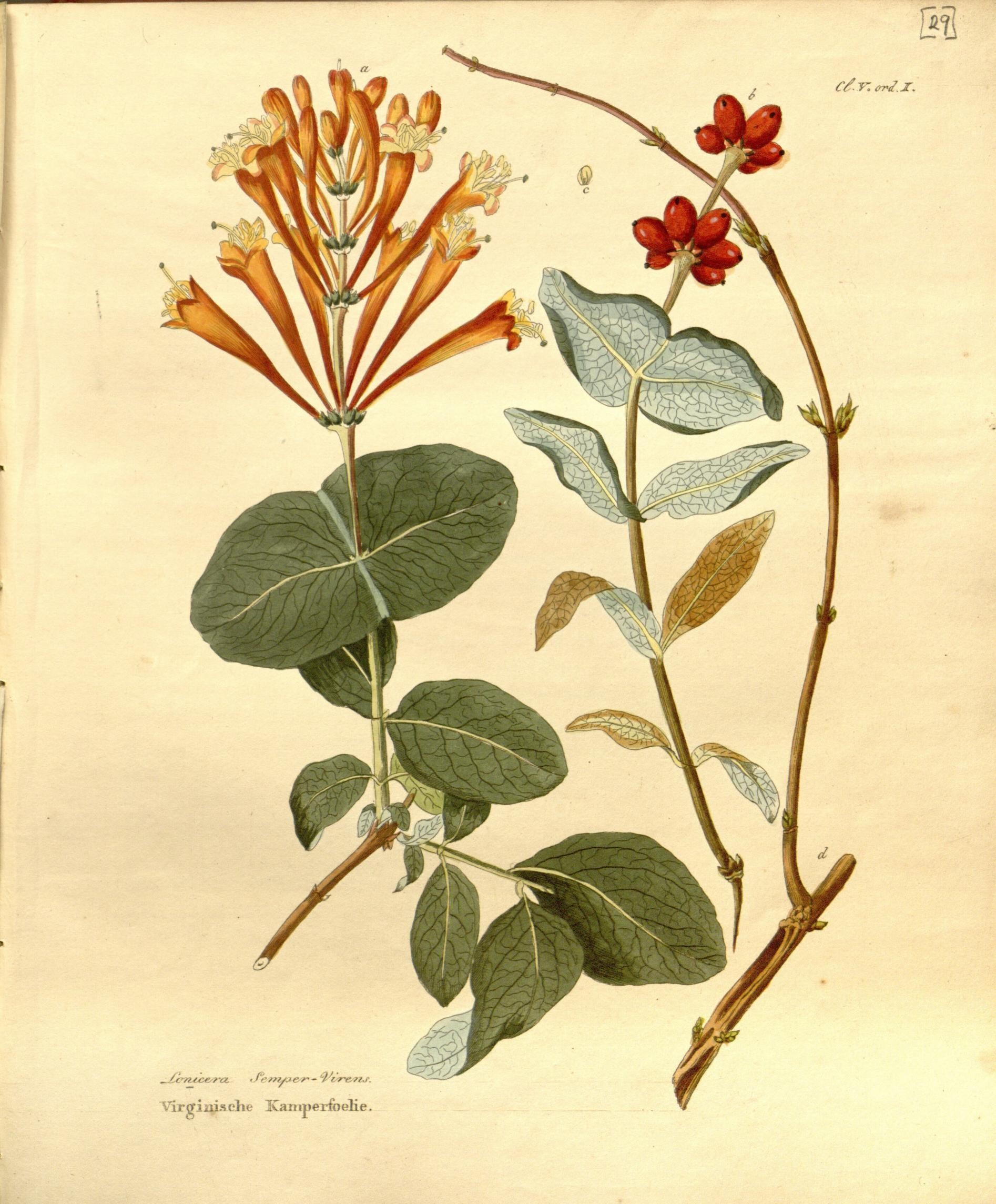 &ldquo;Maar ze vermeerderen zichzelf!&rdquo;