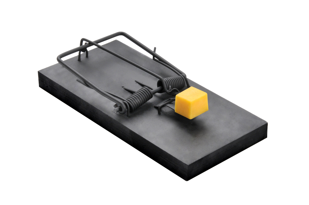 Klachtplicht bij bestuurdersaansprakelijkheid ex artikel 2:9 BW