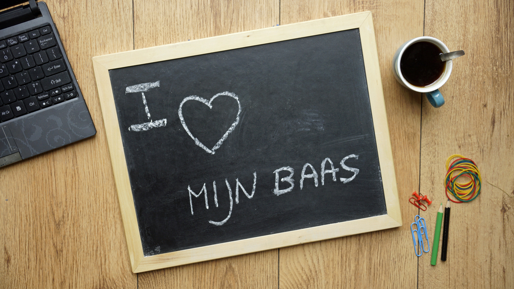 In dienst nemen van een jonge arbeidsgehandicapte werknemer te duur?