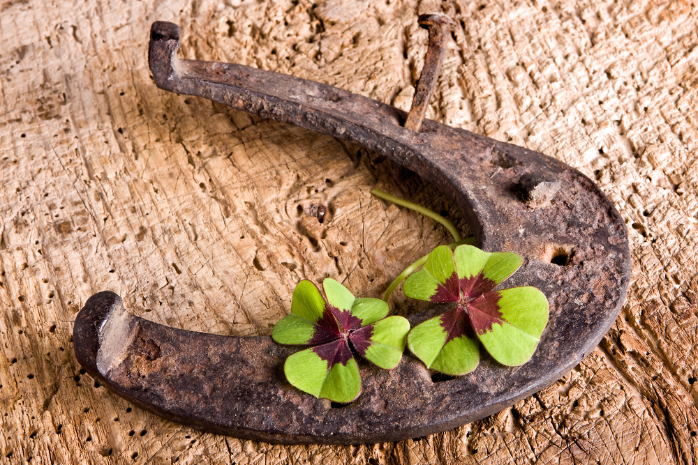 Aansprakelijkheid voor dieren