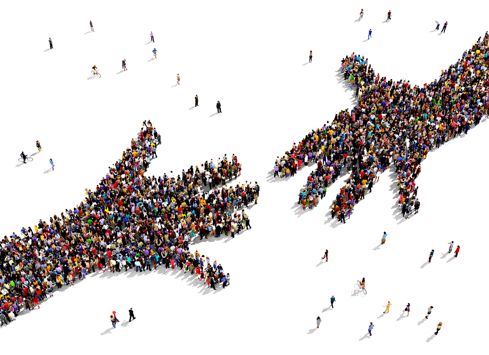 Opzegging van een duurovereenkomst