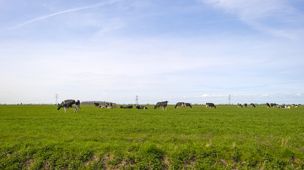 Inschrijving van handelsnaam onvoldoende voor verbodsactie