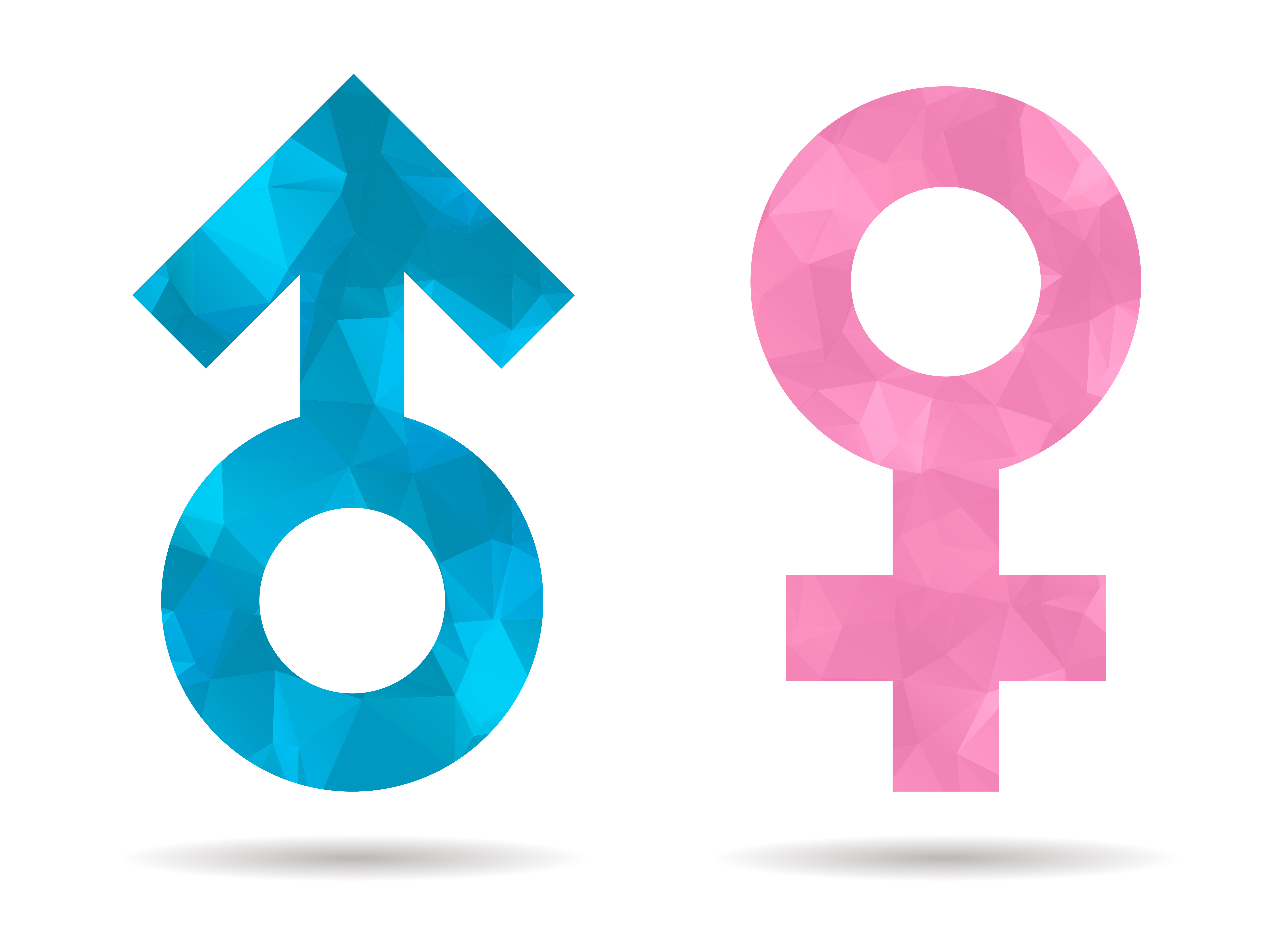 Eerst de Grondwet – dan de mensenrechten