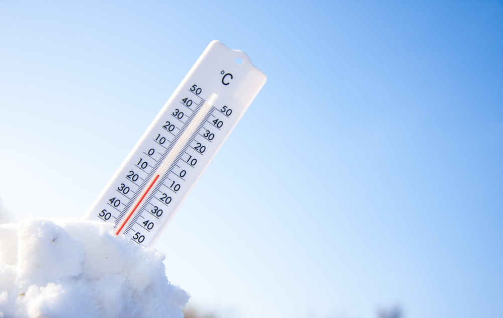 Europese Vennootschap?