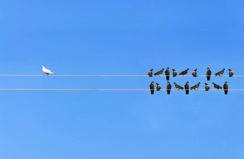 Nederlandse wetgever mag niet bepalen wat een redelijke termijn voor aansluiting is