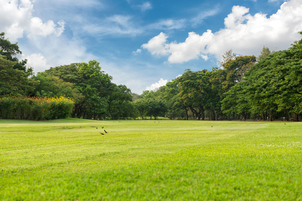 Proefboring schaliegas voorziet niet in tijdelijke behoefte