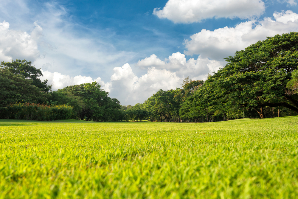 Incidenteel en kortdurend gebruik: wanneer is sprake van strijd met het bestemmingsplan?