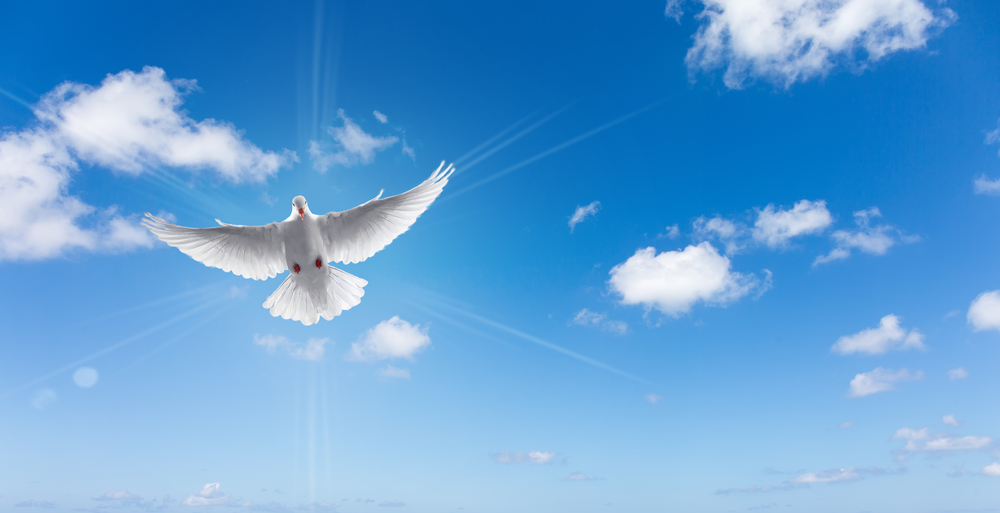 Beloning bestuurders in Europa