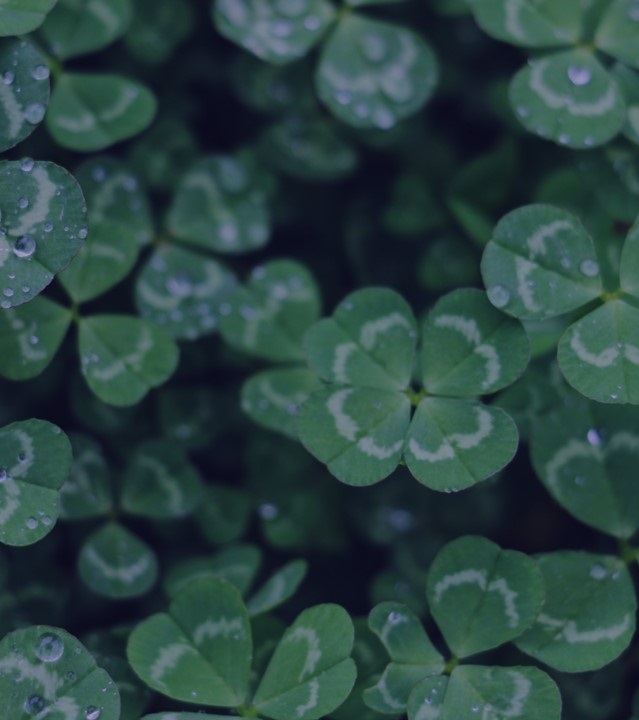 Uitnodiging: workshop steward-ownership op 13 oktober 2023