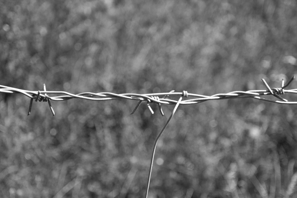 Verbeurde dwangsom ook een steunvordering?