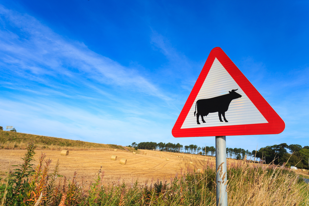 Zuivelbenamingen: dromen van beter